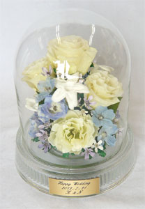 �h���C���H�@G�^�C�v