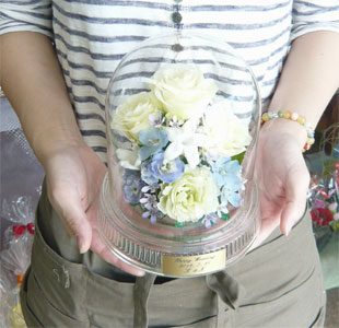 �h���C���H�@G�^�C�v