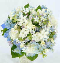 ���ԃu�[�P�@�C���[�W