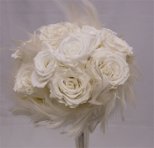 �v���U�[�u�h�t�����[�u�[�P/�z���C�g���[�Y�u�[�P����