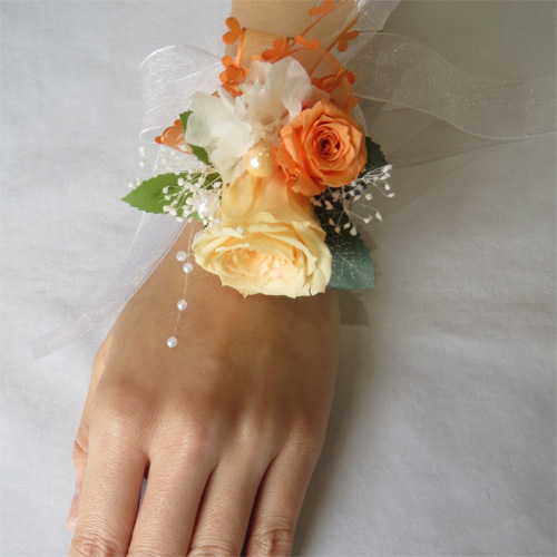 �v���U�[�u�h�t�����[�@���X���b�gS�@�I�����W