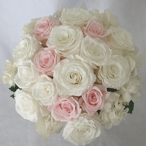 �v���U�[�u�h�t�����[�u�[�P�@�A�W�T�C�u�[�P