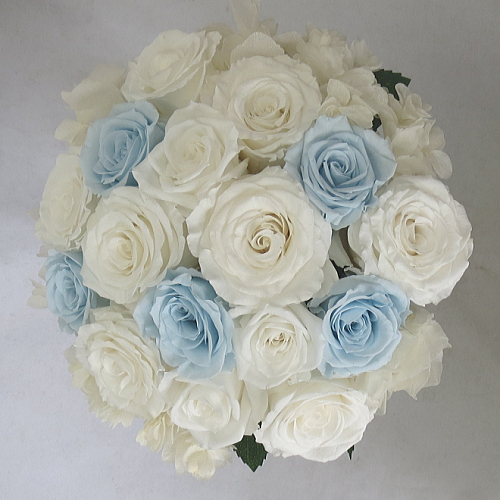 �v���U�[�u�h�t�����[�u�[�P�@�A�W�T�C�u�[�P