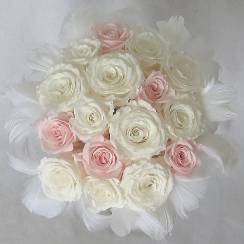 �v���U�[�u�h�t�����[�u�[�P/�t�@�[�u�[�P�@�z���C�g���s���N