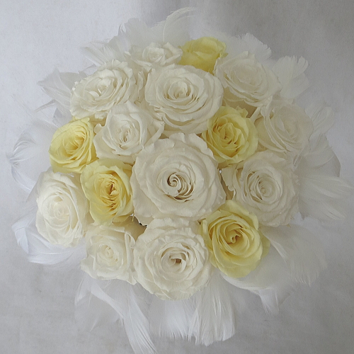 �v���U�[�u�h�t�����[�u�[�P