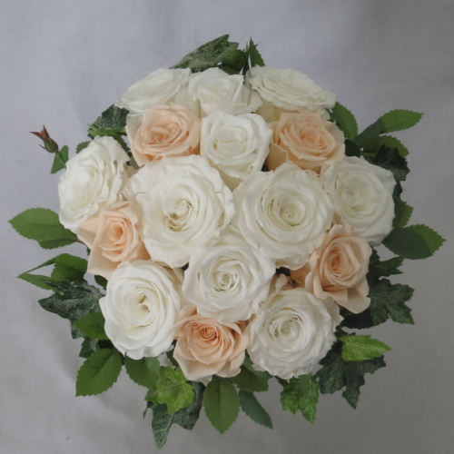 �v���U�[�u�h�t�����[�u�[�P�@�O���[���u�[�P