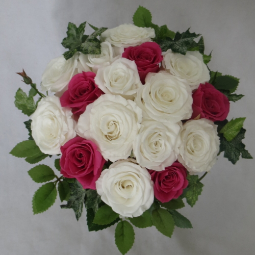 �v���U�[�u�h�t�����[�u�[�P�@�O���[���u�[�P