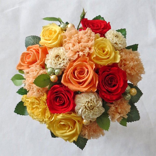 �v���U�[�u�h�t�����[/�_���A�ƃo���̃I�����W���E���h�u�[�P