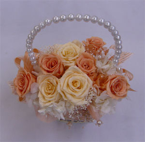 �E�G�f�B���O�E�v���U�[�u�h�t�����[�u�[�P/�V���[�x�b�g�I�����W�A�p�[���o�b�N�u�[�P