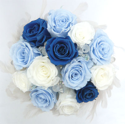 �v���U�[�u�h�t�����[�@�t�@�[�u�[�P�Q�S