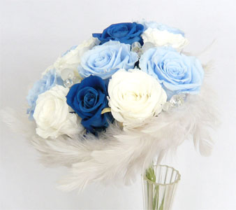 �v���U�[�u�h�t�����[�@�t�@�[�u�[�P�Q�S