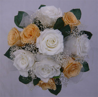 �E�G�f�B���O�E�v���U�[�u�h�t�����[�u�[�P/�����A�v���R�b�g�o���A�����ݑ��@���E���h�u�[�P