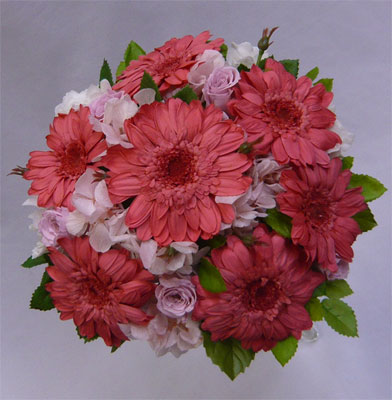 �E�G�f�B���O�E�v���U�[�u�h�t�����[�u�[�P/�s���N�K�[�x���@���E���h�u�[�P