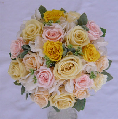 �E�G�f�B���O�E�v���U�[�u�h�t�����[�u�[�P/�\�t�g�C�G���[���s���N�o���@���E���h�u�[�P