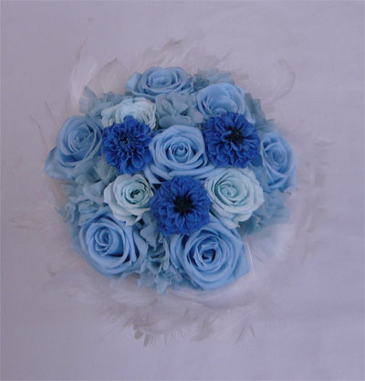 �E�G�f�B���O�E�v���U�[�u�h�t�����[�u�[�P/�t�@�[�u�[�P�@�Q�T�@