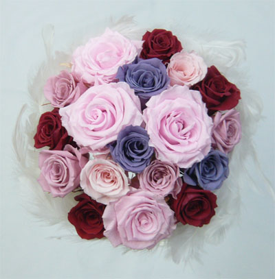 �E�G�f�B���O�E�v���U�[�u�h�t�����[�u�[�P/�t�@�[�u�[�P 31