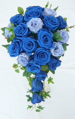 �E�G�f�B���O�E�v���U�[�u�h�t�����[�u�[�P/�u���[���[�Y�@�L���X�P�[�h