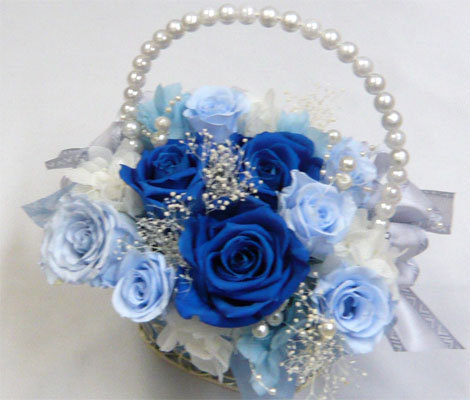 �E�G�f�B���O�@�v���U�[�u�h�t�����[�u�[�P/�u���[�����C�g�u���[�@�p�[���o�b�N�u�[�P