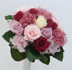 �v���U�[�u�h�t�����[�u�[�P/���x���_�[�s���N�ƃ��b�h���[�Y���E���h�u�[�P