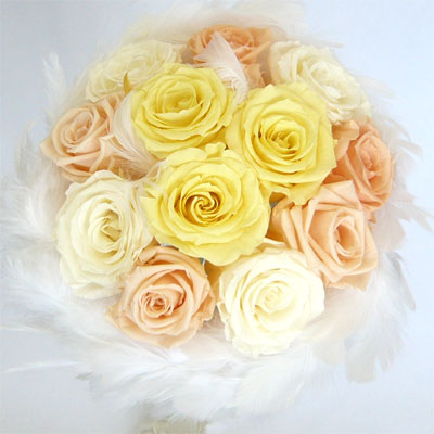 �E�G�f�B���O�@�v���U�[�u�h�t�����[�u�[�P/�t�@�[�u�[�P�R�W�@�s�[�`���C�G���[