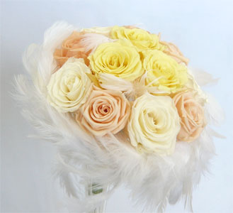 �t�@�[�u�[�P�R�W�@�s�[�`���C�G���[