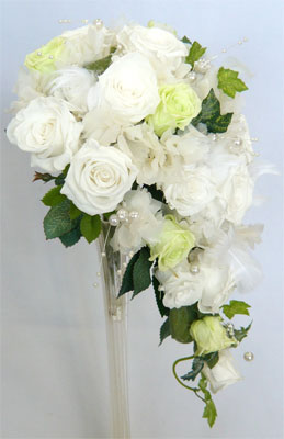 �v���U�[�u�h�t�����[�u�[�P/���E�O���[�����[�Y�X�����L���X�P�[�h�u�[�P