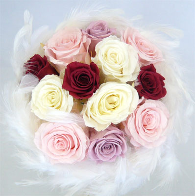 �E�G�f�B���O�@�v���U�[�u�h�t�����[�u�[�P/�t�@�[�u�[�P�R�V