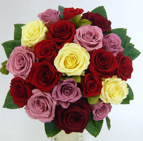 �E�G�f�B���O�@�v���U�[�u�h�t�����[�u�[�P/�\�t�g�C�G���[���`�F���[�u���b�T���@���E���h�u�[�P