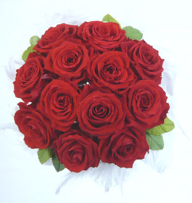 �E�G�f�B���O�@�v���U�[�u�h�t�����[�u�[�P/�t�@�[�u�[�P40