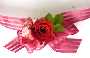 �p���\�����b�h�u�[�P�i���X���b�g�j