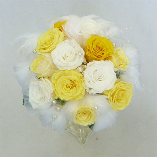 �v���U�[�u�h�t�����[�u�[�P�@�t�@�[�u�[�P