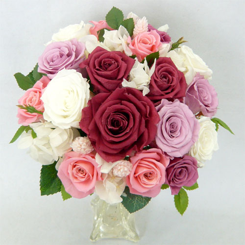 �v���U�[�u�h�t�����[�u�[�P�@�A�j�}��