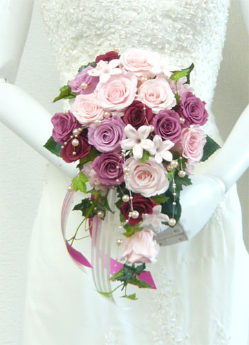 �s���N���[�Y���W���X�~���@�Z�~�L���X�P�[�h�u�[�P