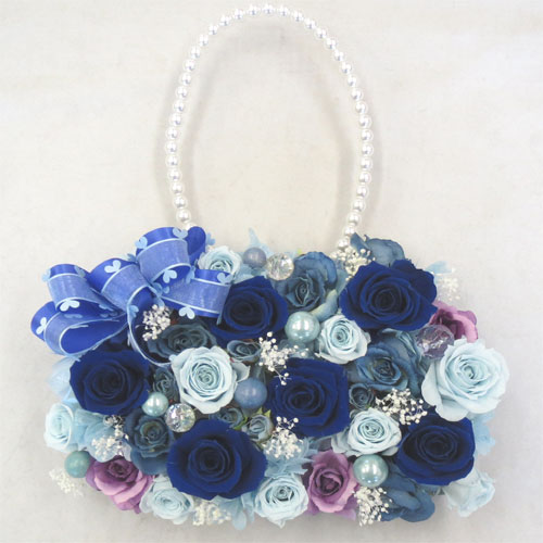 �v���U�[�u�h�t�����[�u�[�P