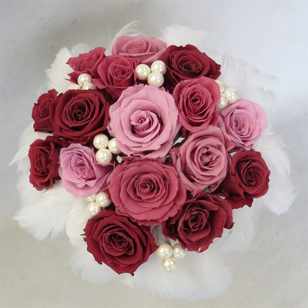 �v���U�[�u�h�t�����[�u�[�P