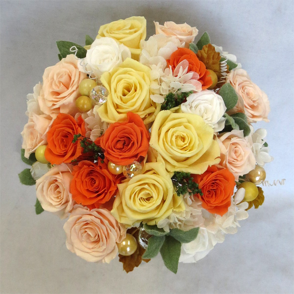 �v���U�[�u�h�t�����[�u�[�P