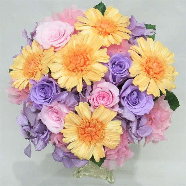 �v���U�[�u�h�t�����[�u�[�P