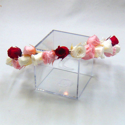 �v���U�[�u�h�t�����[�Ԋ�