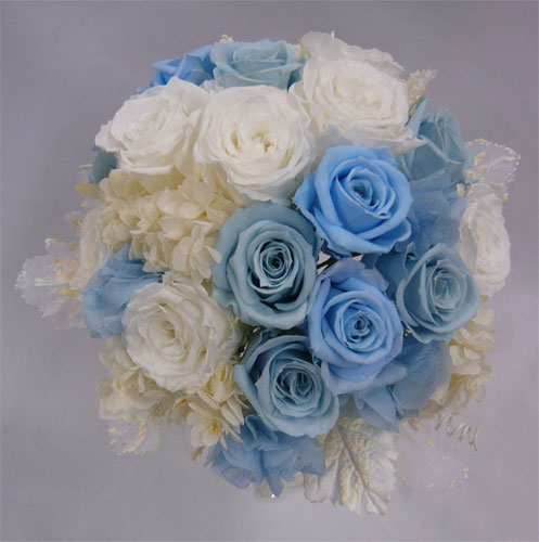 �E�G�f�B���O�@�v���U�[�u�h�t�����[�u�[�P/�����u���[���[�Y