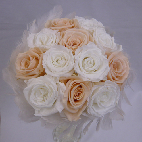 �E�G�f�B���O�@�v���U�[�u�h�t�����[�u�[�P/�t�@�[�u�[�P�@�W