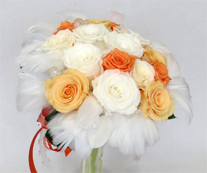 �v���U�[�u�h�t�����[�u�[�P/�t�@�[�u�[�P11