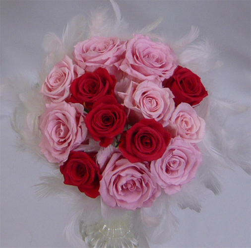 �E�G�f�B���O�E�v���U�[�u�h�t�����[�u�[�P/�t�@�[�u�[�P�@�P�V