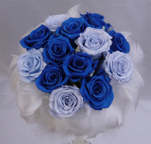 �E�G�f�B���O�E�v���U�[�u�h�t�����[�u�[�P/�t�@�[�u�[�P�W�@