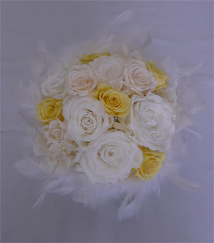 �E�G�f�B���O�@�v���U�[�u�h�t�����[�u�[�P/�t�@�[�u�[�P19