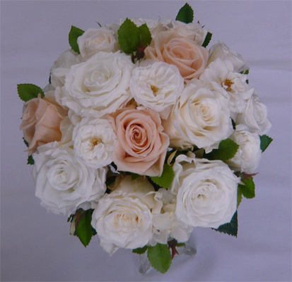 �E�G�f�B���O�E�v���U�[�u�h�t�����[�u�[�P/�z���C�g���s�[�`���[�Y���E���h�u�[�P