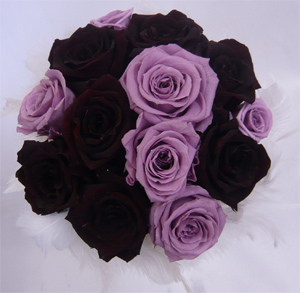 �E�G�f�B���O�@�v���U�[�u�h�t�����[�u�[�P/�t�@�[�u�[�P�@13