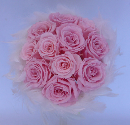 �E�G�f�B���O�@�v���U�[�u�h�t�����[�u�[�P/�t�@�[�u�[�P�@14