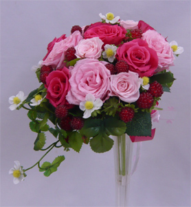 �v���U�[�u�h�t�����[�u�[�P�@�Z���s���N�o���E�o���Z�~�L���X�P�[�h