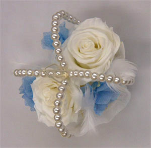 �z���C�g���[�Y�@��