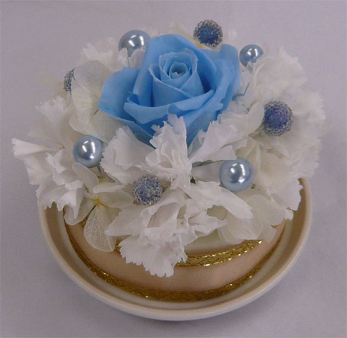 �E�G�f�B���O�@�v���U�[�u�h�t�����[/�����O�s���[�@�v�`�P�[�L�@���C�g�u���[